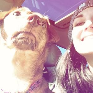 Meet your Posher, Bee